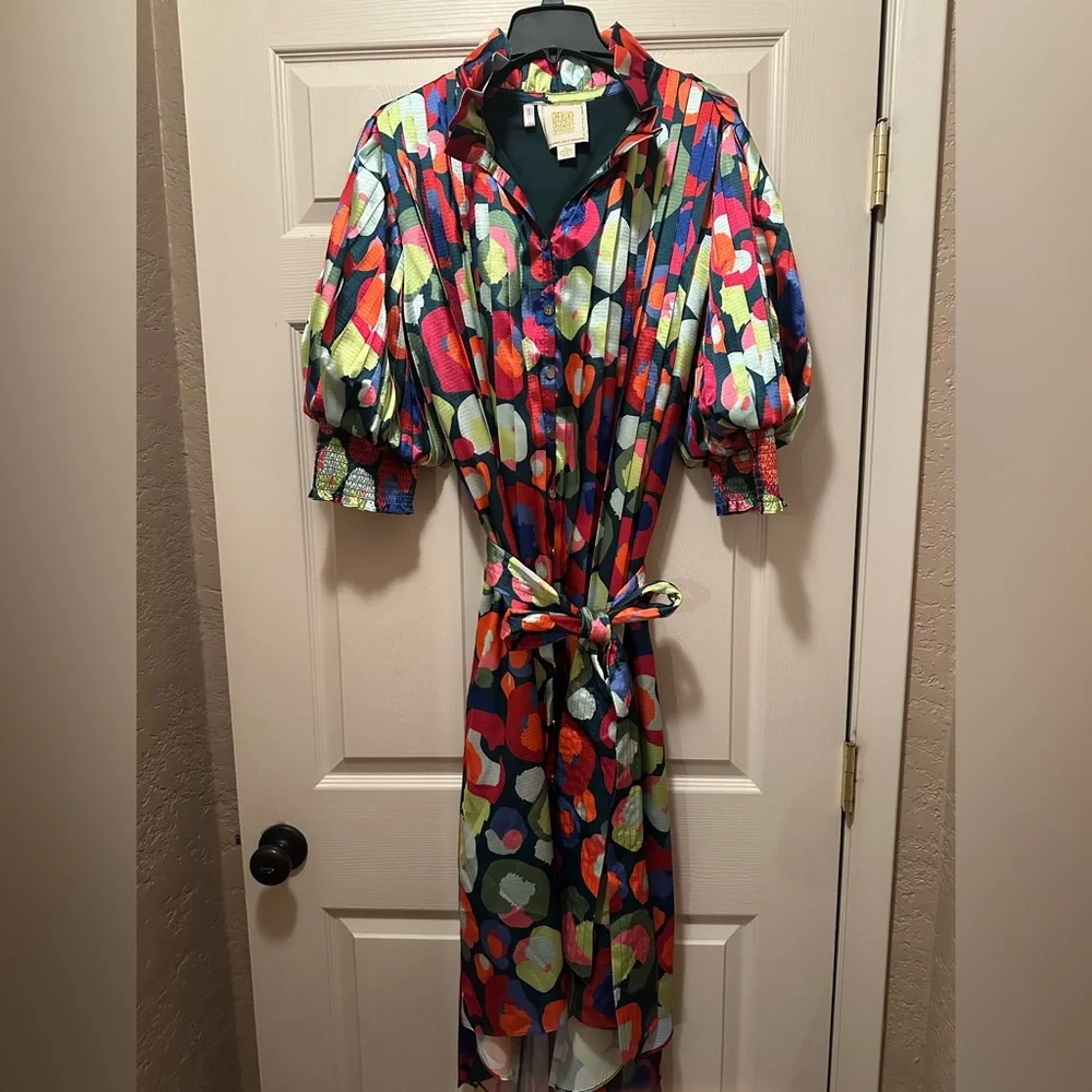 Emily McCarthy Rowan Pleated Cheetah dress XL LIKE NEW - Picture 3 of 6